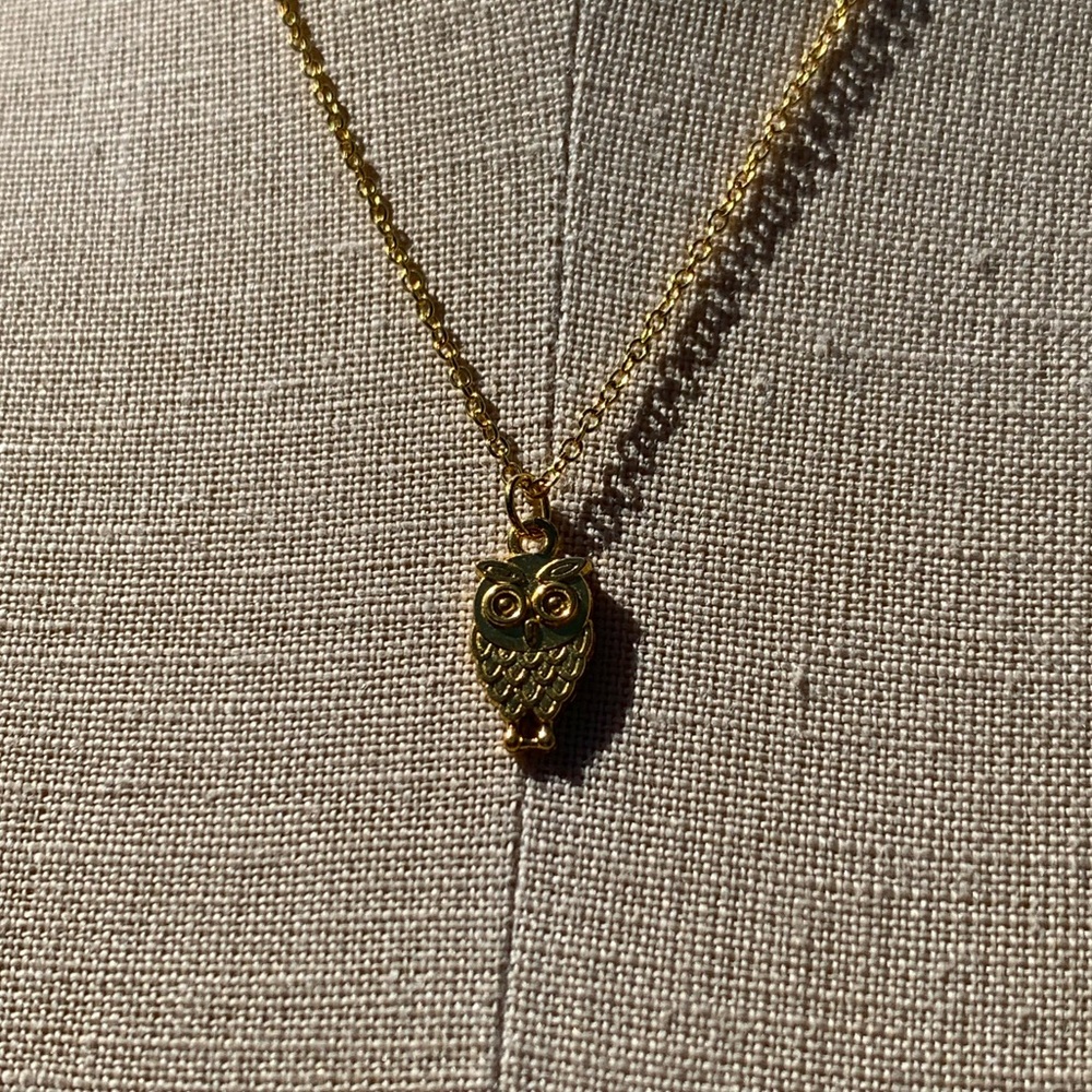 NWT Sterling Silver Plated Chain & Alloy Owl Charm Necklace - Picture 10 of 11